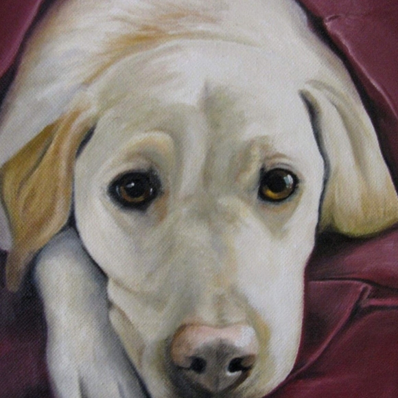 Meet your Posher, Victory Hill (Deb) - Picture 7 of 14